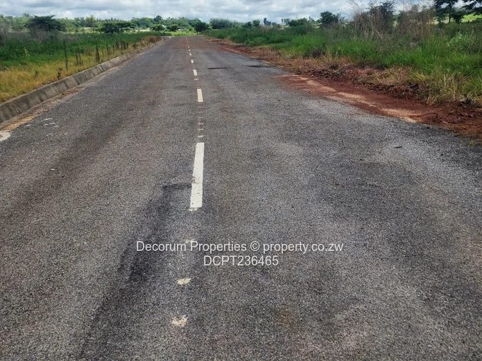 Beautiful stands Borrowdale Kinsley Estate