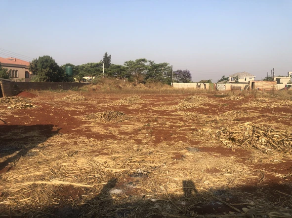 Stands & Residential Land