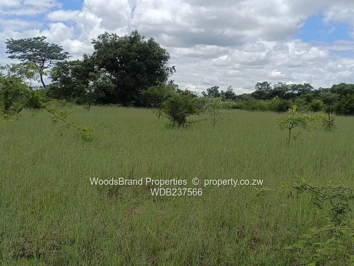 Chegutu, Dorton Plots For Sale
