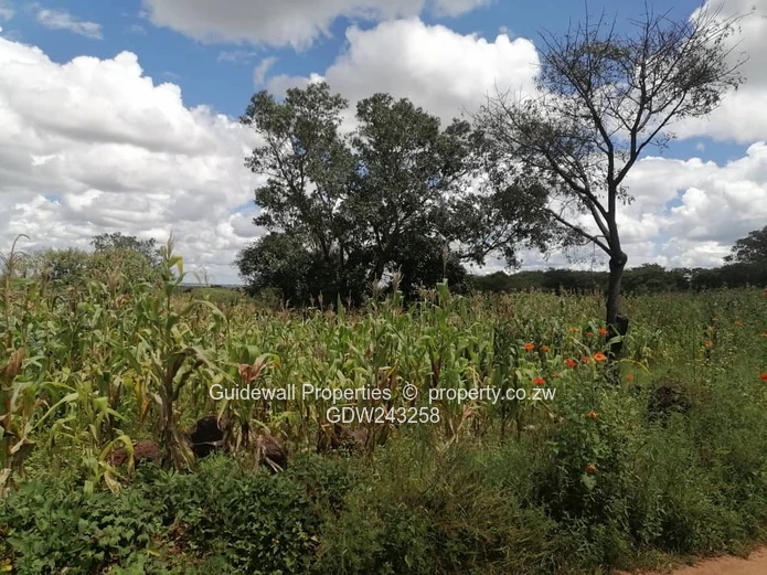 4000sqm stand for sale in Ridgemont  Park in Gweru