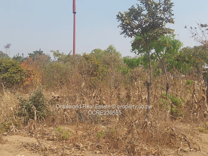 Stand for Sale – Crowhill Views 