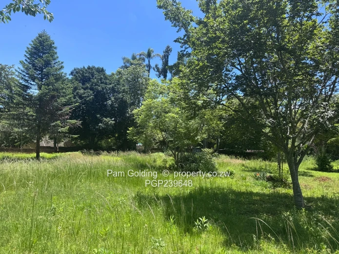 Prime Development Opportunity In Chisipite! (Sole Mandate)