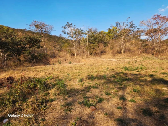 Farm & Agricultural Land
