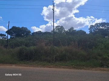 Stands & Residential Land