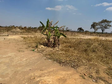 Commercial & Industrial Land