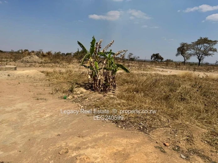 Lake City Stand For Sale Near Lake Chivero