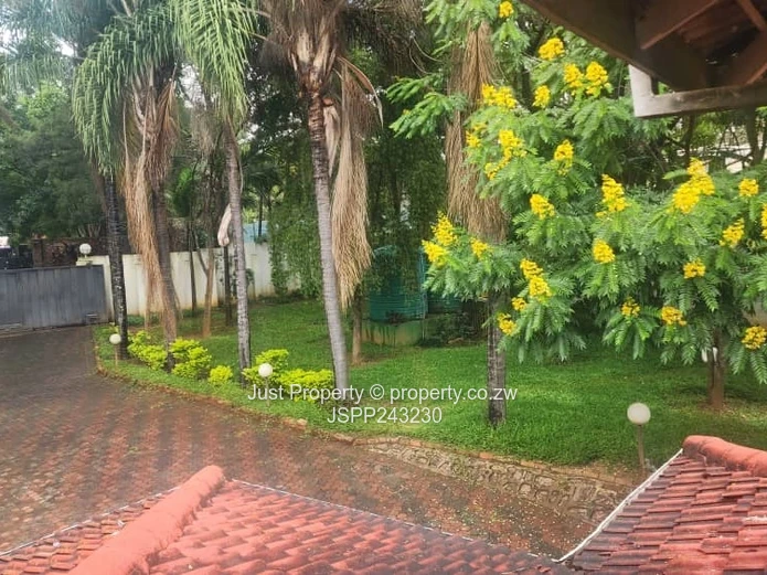 Renovator’s Delight 