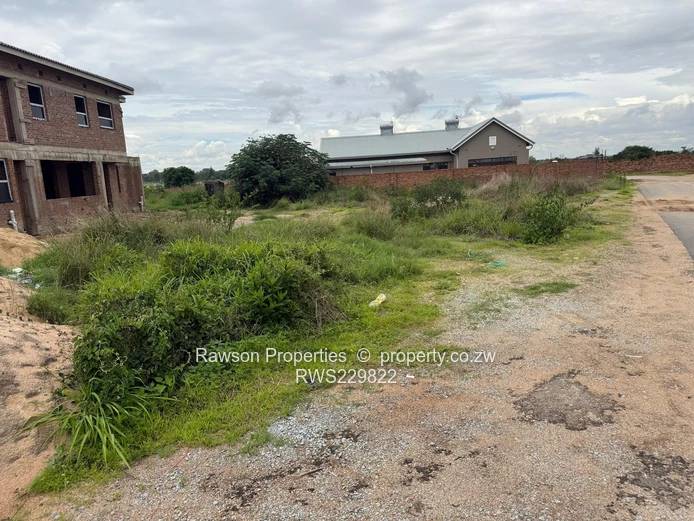 Investment opportunity!