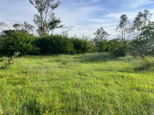 Farm & Agricultural Land