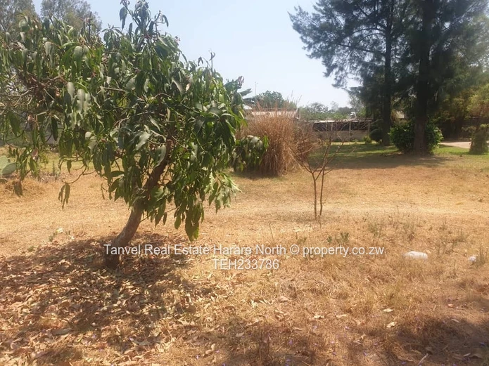 *HATFIELD STAND FOR SALE.  Ideal for both residential and commercial,this subdivision measuring 1902