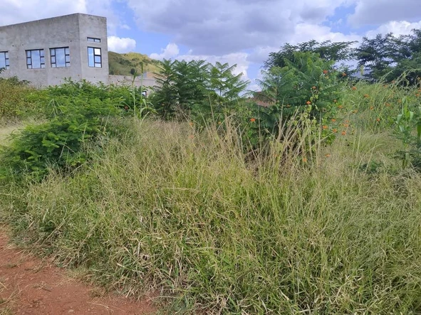 Commercial & Industrial Land