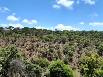 **Prime 4-Acre Stand for Sale in Beautiful Borrowdale, Harare**