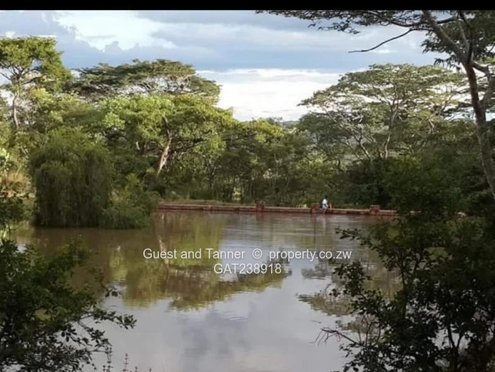Ruwa Agro Residential Plot for Sale - 3.88ha with Farmhouse and Excellent Water Infrastructure