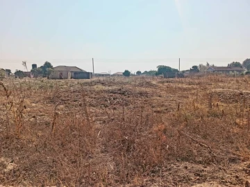 Stands & Residential Land
