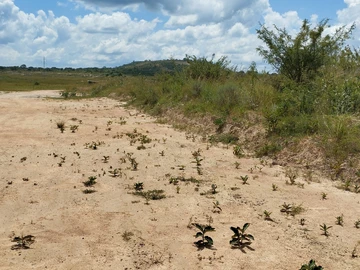 Farm & Agricultural Land