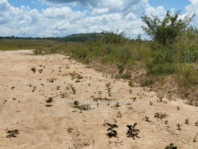 Agro residential plot (Sole Mandate)