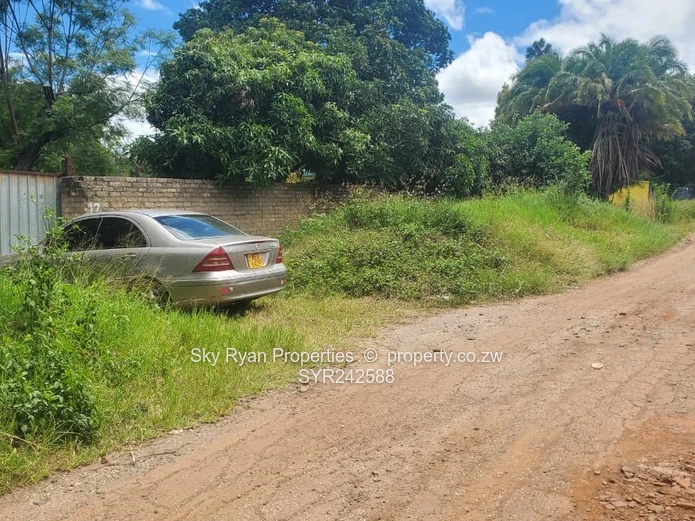 Avondale Stand For Sale