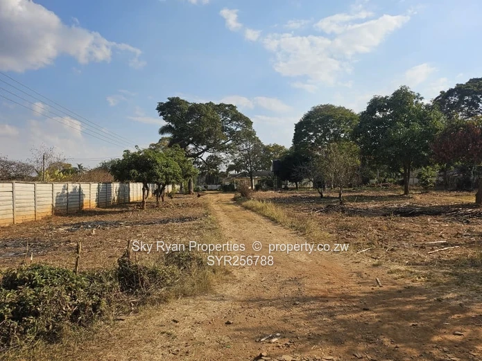 Residential Stand for Sale in Quinnington