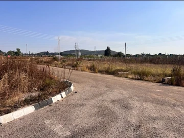 Stands & Residential Land