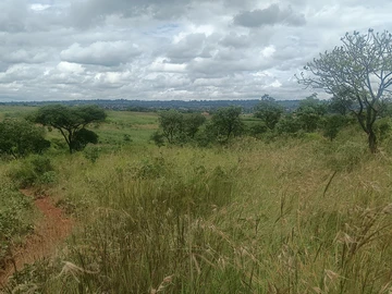 Farm & Agricultural Land