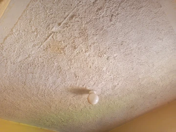 2 Bedroom Flat & Apartment