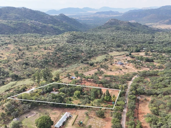 Farm & Agricultural Land