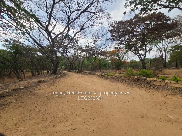 Prime 1.6-Hectare Plot for Sale in Christon Bank