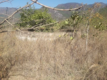 Farm & Agricultural Land