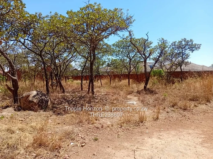 1000sqm  residential stand for sale in Crowhill Harare North. (Sole Mandate)