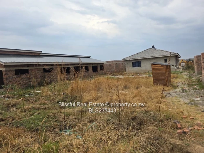 glaudina stand for sale