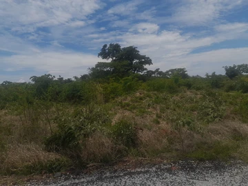 Farm & Agricultural Land