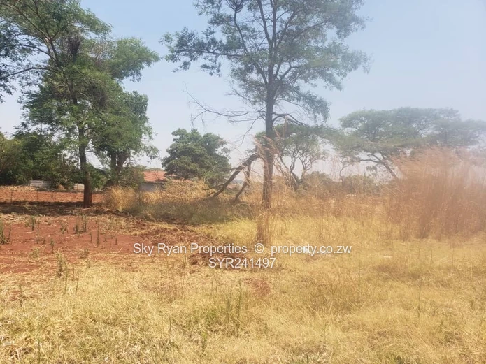 Gletwin Stand For Sale