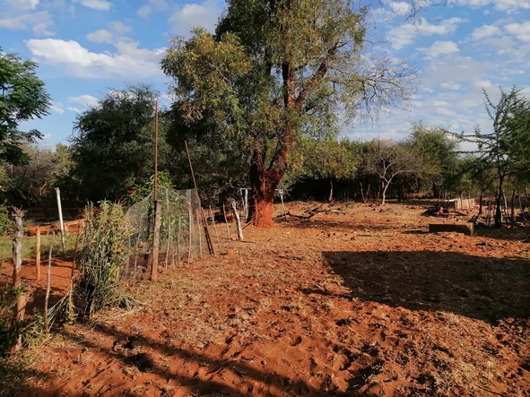 Farm & Agricultural Land