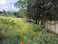 Commercial & Industrial Land