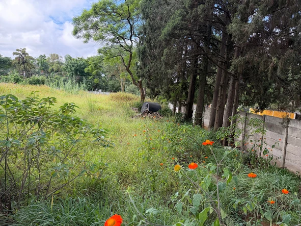 Commercial & Industrial Land