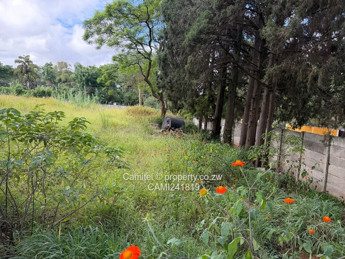 Located along Lomagandi with main road frontage,Deed Available and commercial use