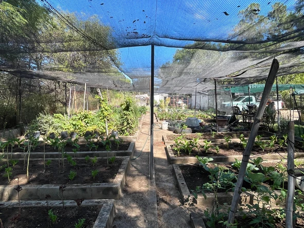 Farm & Agricultural Land