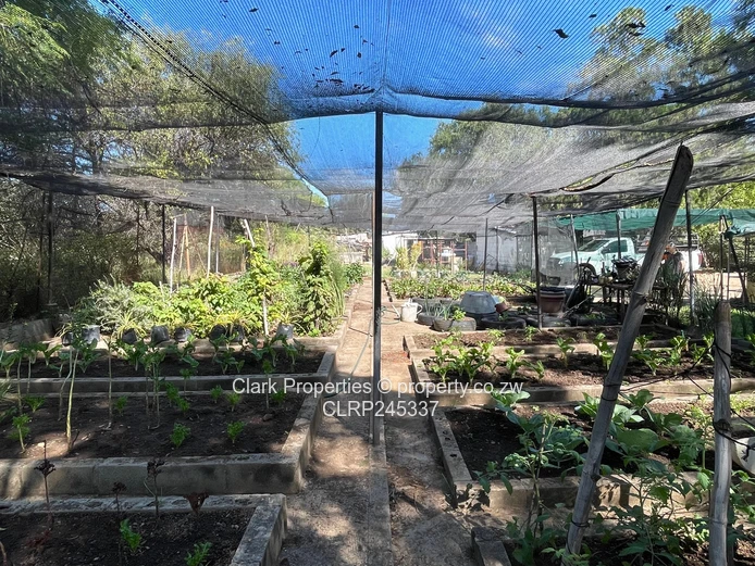 Multipurpose Farm Close To Bulawayo