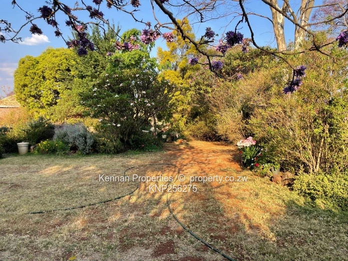 Spacious end unit garden flat apartment in Greendale North