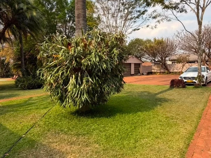 Emerald Hill furnished house to rent 