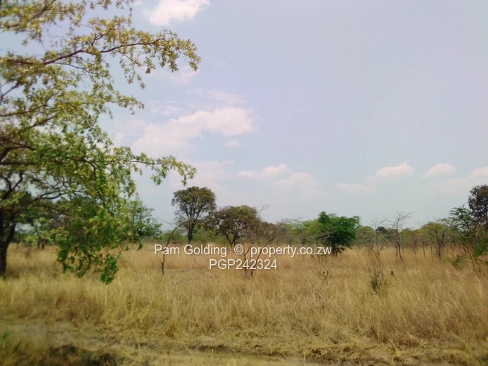 Prime Holiday Resort Stand for Sale – Juliasdale, Nyanga 