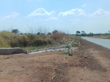 Stands & Residential Land