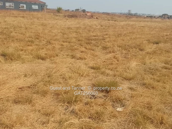 1.1 Hectares For Sale – Rainham Agro Plots | Usd $120,000
