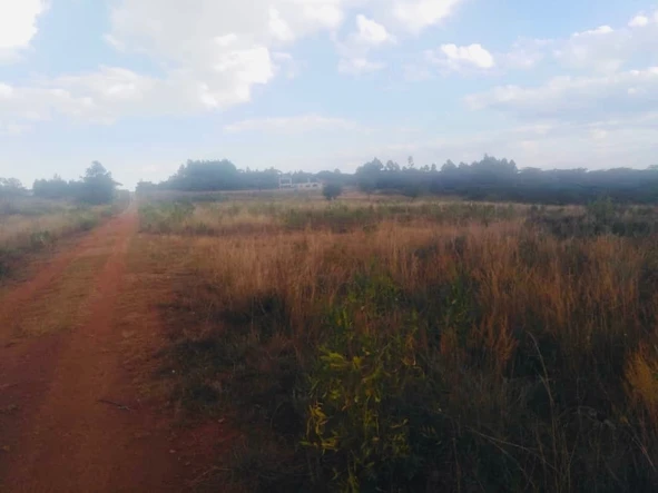 Farm & Agricultural Land