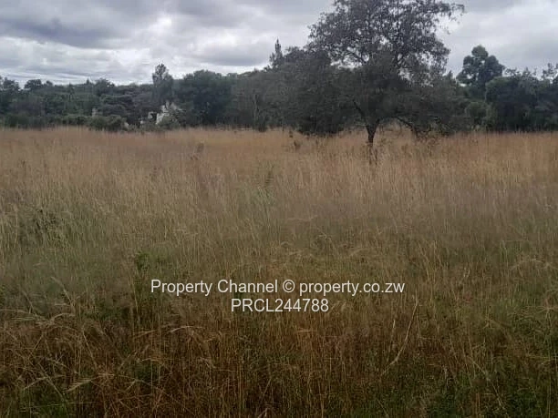 Prime Flat Agro Plot – Ideal for Farming, dwelling & Investment