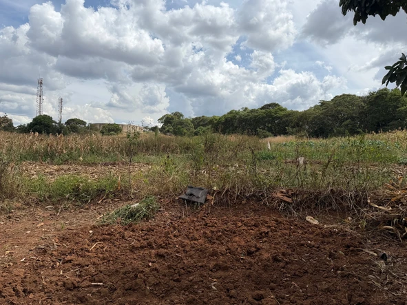 Commercial & Industrial Land