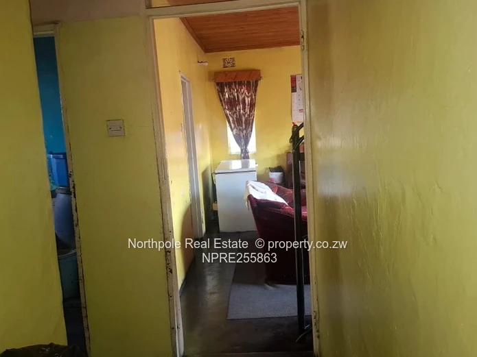 Ruwa house to rent 