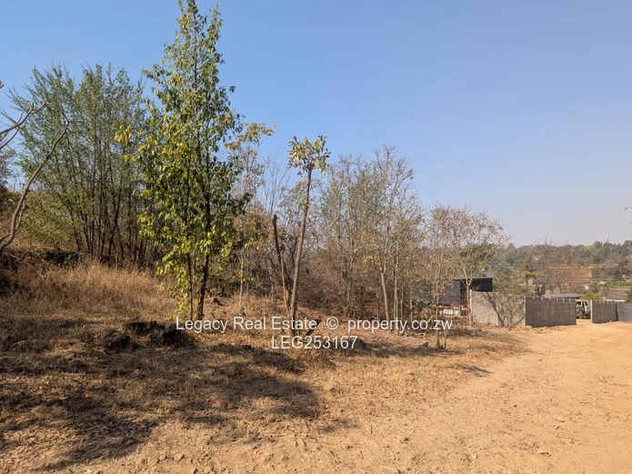 4472 m² Greystone Park — Sloping Stand with Cottage, Trees and Gate