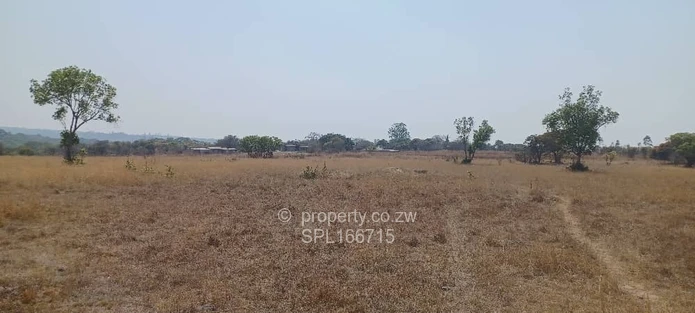5.2 hectares Farmland. (Sole Mandate)