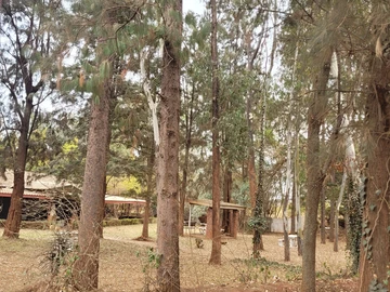 Hotel & Lodge